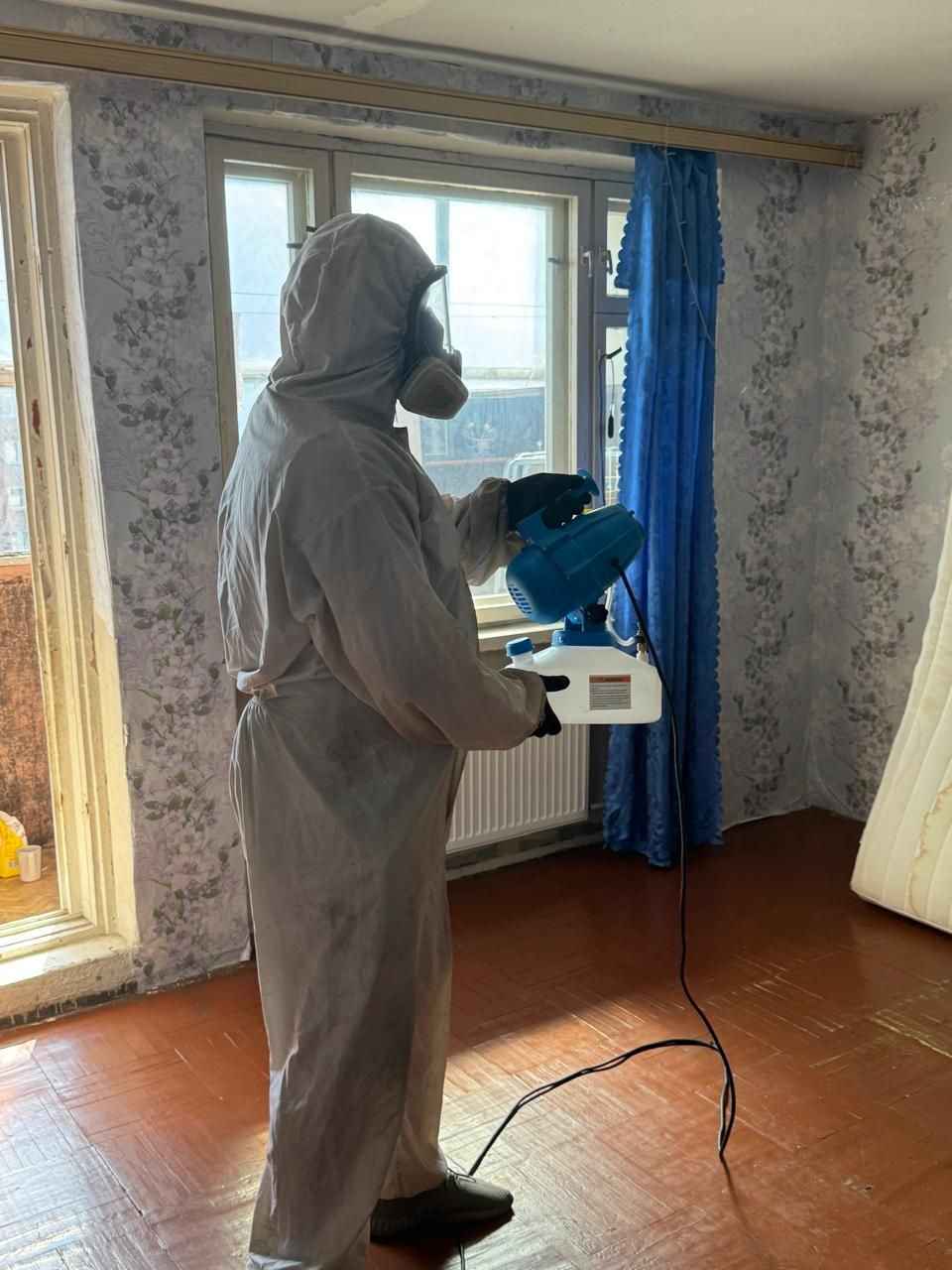 Как выводить клопов