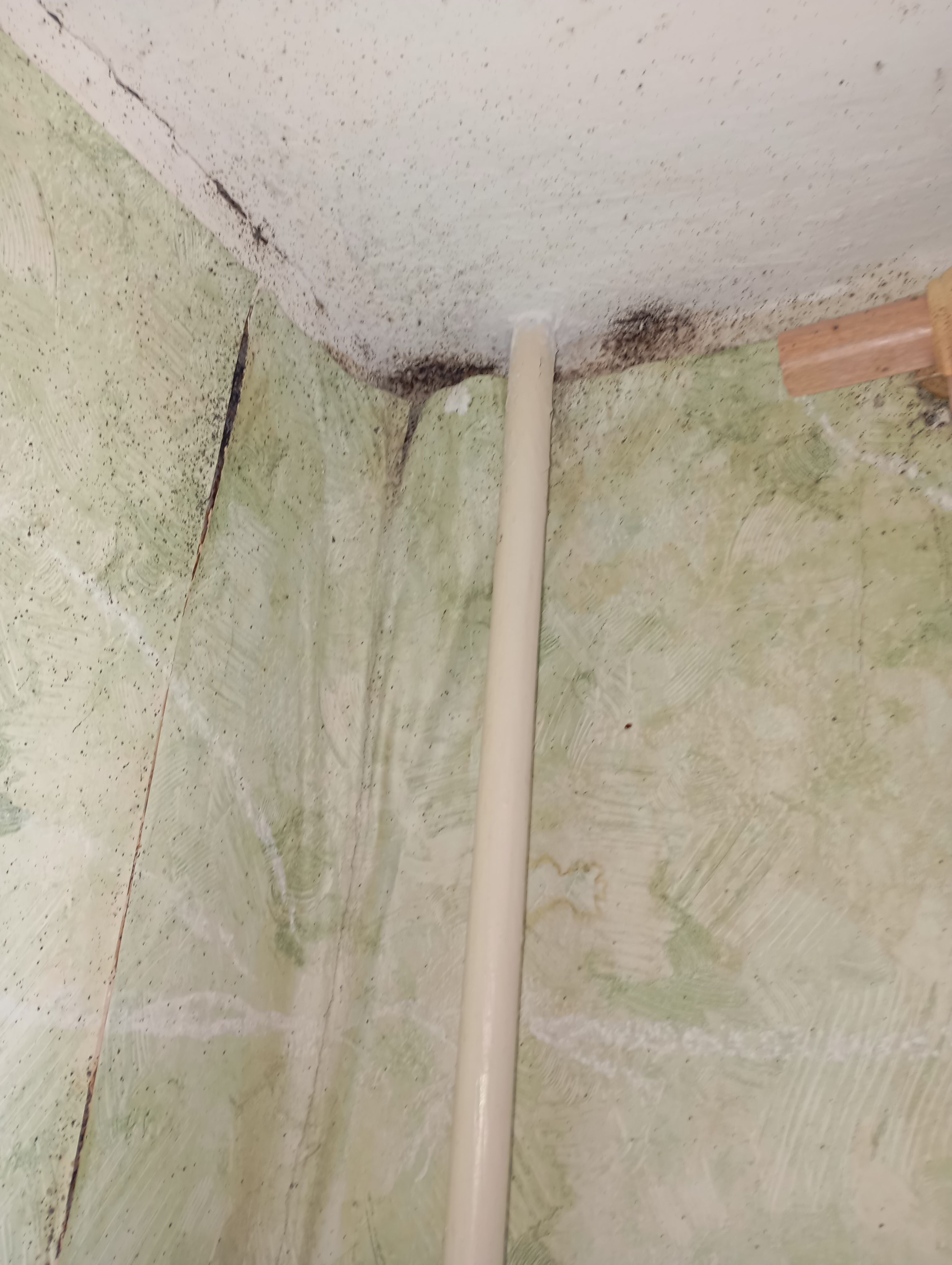 Обработка от клопов в Колпино