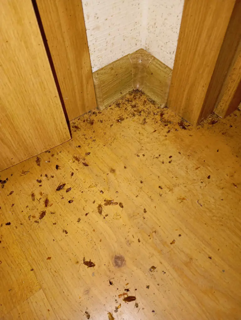 Последствия обработки