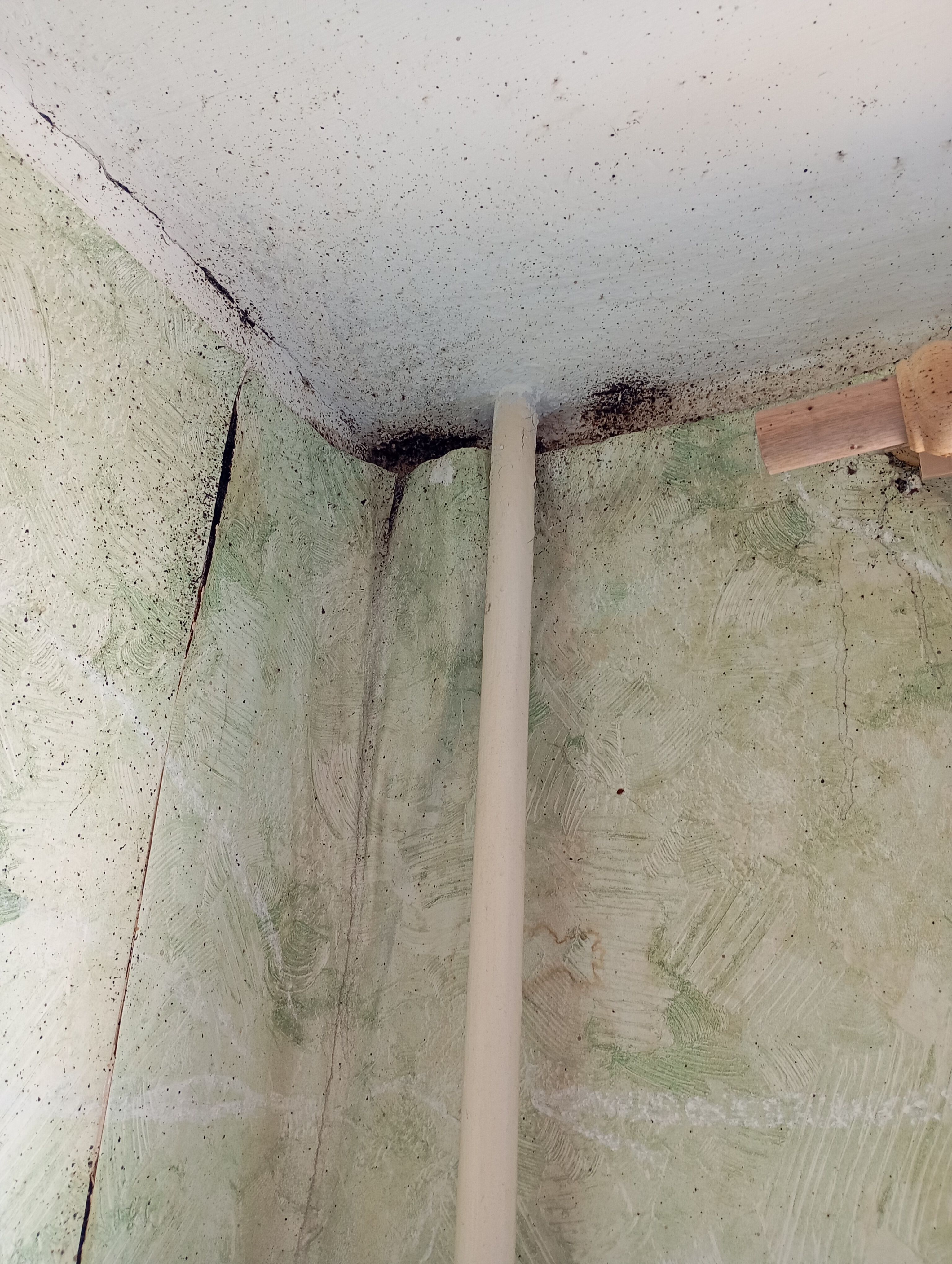 Обработка от клопов в Колпино