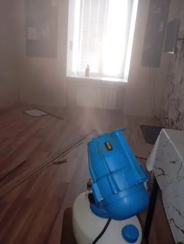 обработка комнаты от клопов