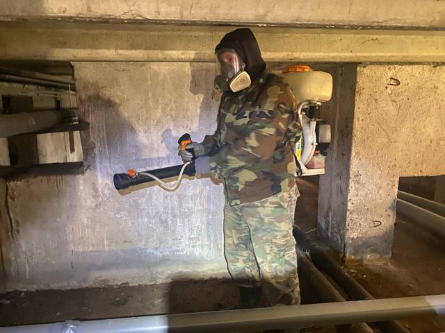 Обрабока подвала в Красногвардейском районе Санкт-Петербурга